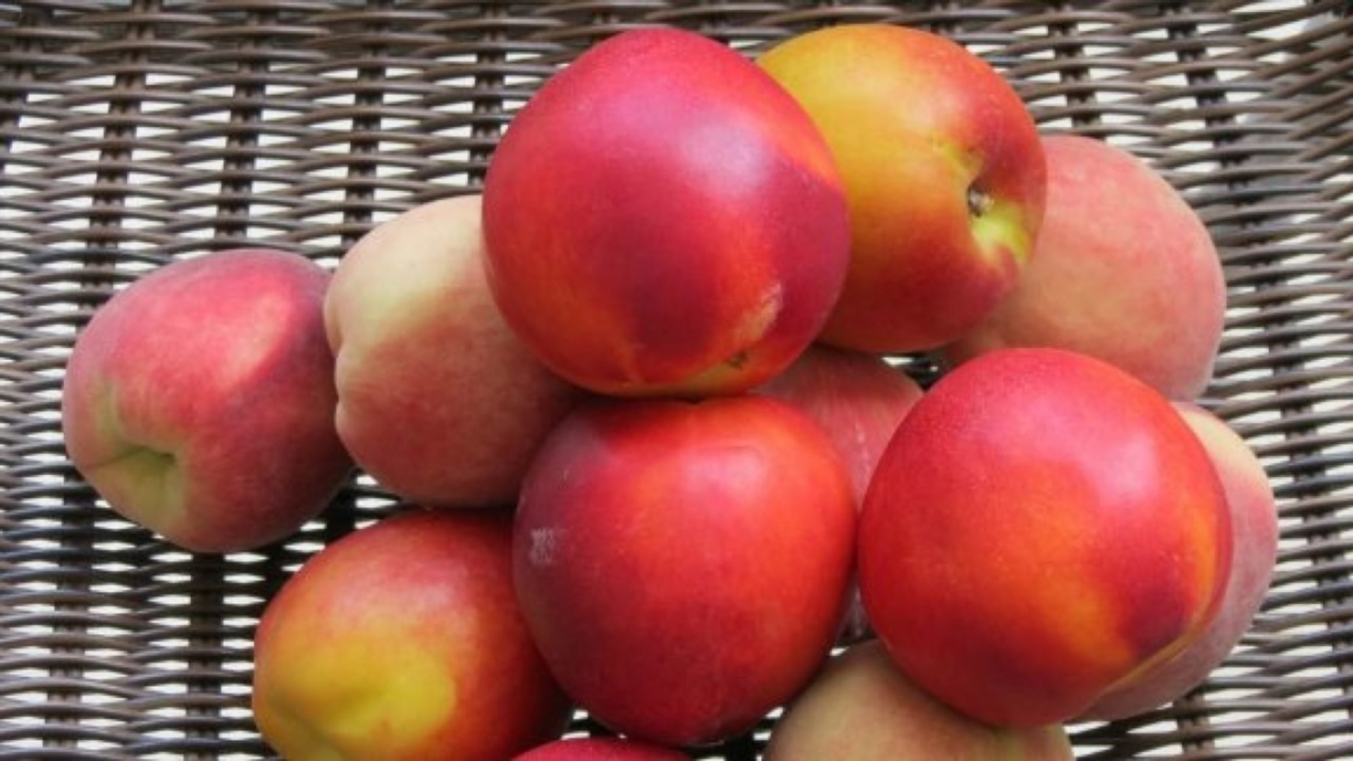 eating nectarines during pregnancy guide