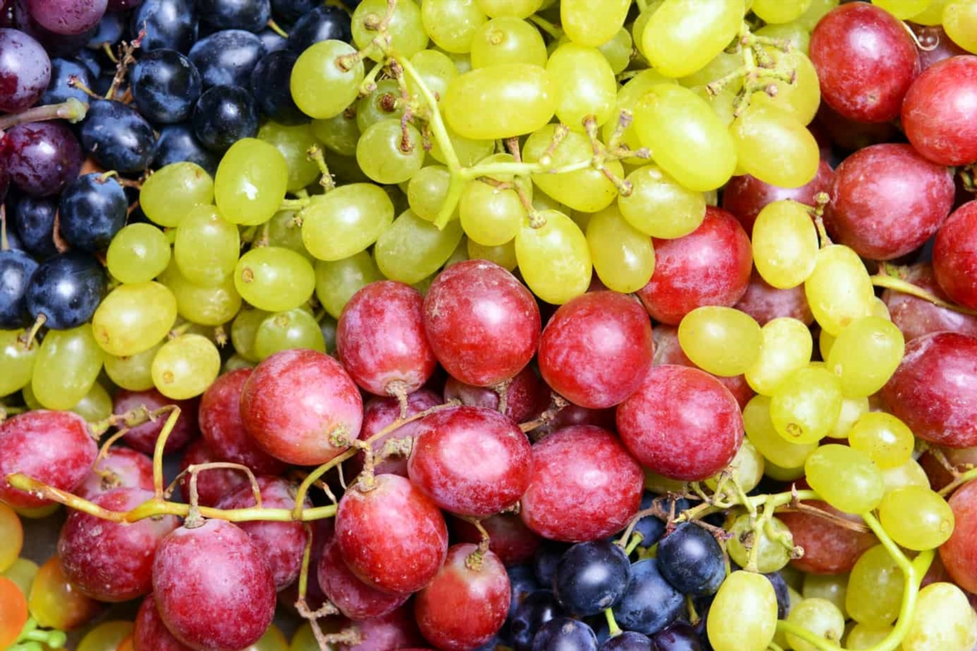is dry grapes safe during pregnancy guide