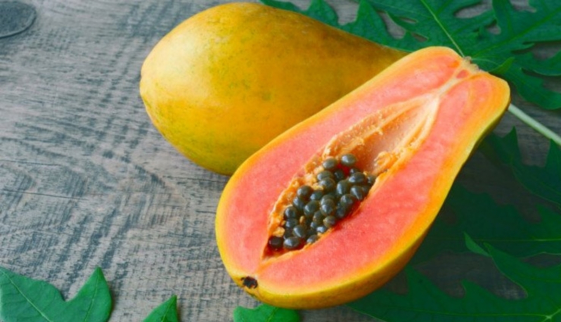 papaya in pregnancy