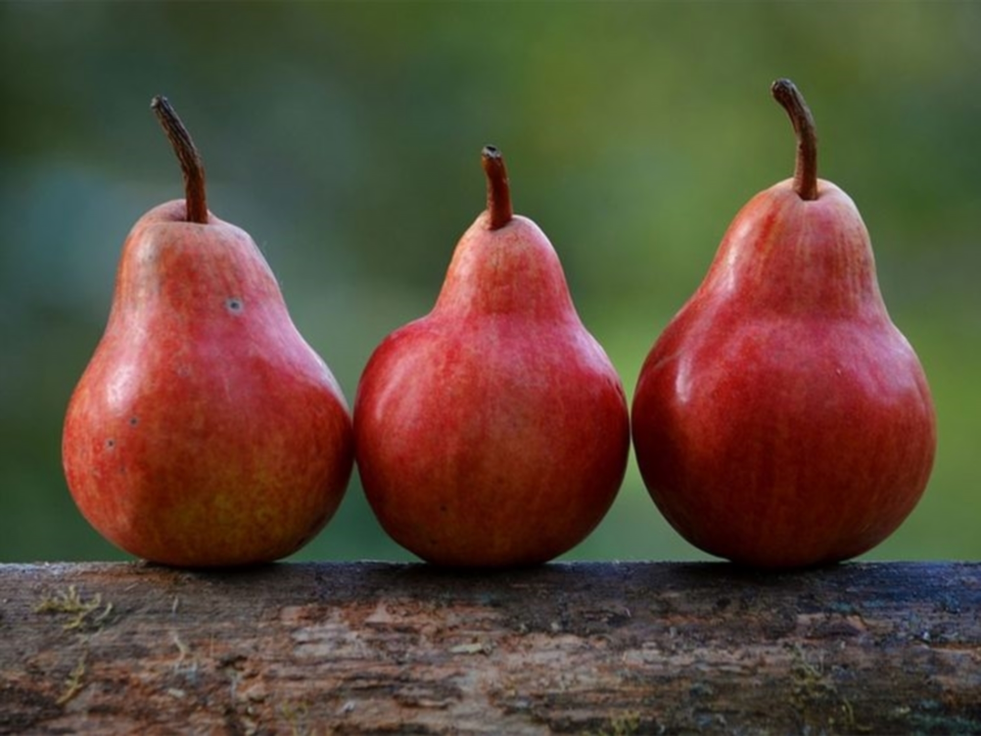 pear during pregnancy
